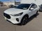 2025 Ford Escape Hybrid ST-Line Select